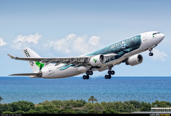 Azores airlines logo sata air tail airhex acores airline logos