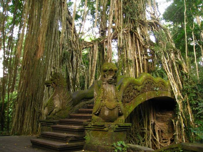 Monkey forest ubud bali palace temple tampaksiring presidential indonesia tourist review travis reviewed park general info