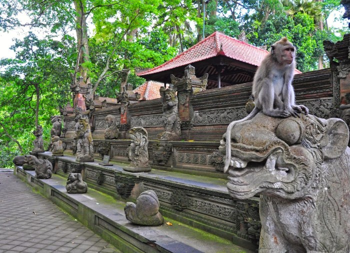 Monkey ubud bali macaques